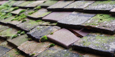 Honeydon roof repair costs